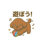 【日常＆冬】ゆるかわトイプードル（個別スタンプ：36）