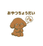 【日常＆冬】ゆるかわトイプードル（個別スタンプ：37）