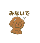 【日常＆冬】ゆるかわトイプードル（個別スタンプ：40）