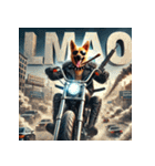 爆走犬伝説（個別スタンプ：14）