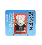 動く 擦れうさぎ年末年始2026（個別スタンプ：5）