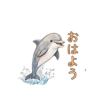 動物シリーズ 01（個別スタンプ：1）