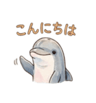 動物シリーズ 01（個別スタンプ：2）