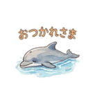 動物シリーズ 01（個別スタンプ：6）