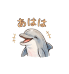 動物シリーズ 01（個別スタンプ：9）