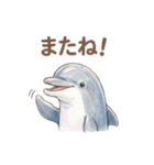 動物シリーズ 01（個別スタンプ：16）