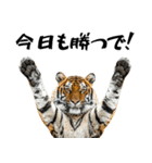 熱狂虎ファン！叫んで野球応援（個別スタンプ：1）