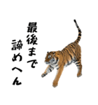 熱狂虎ファン！叫んで野球応援（個別スタンプ：2）