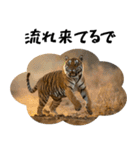 熱狂虎ファン！叫んで野球応援（個別スタンプ：4）