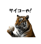 熱狂虎ファン！叫んで野球応援（個別スタンプ：5）