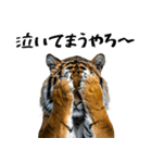 熱狂虎ファン！叫んで野球応援（個別スタンプ：6）