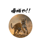 熱狂虎ファン！叫んで野球応援（個別スタンプ：7）