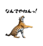 熱狂虎ファン！叫んで野球応援（個別スタンプ：9）