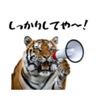 熱狂虎ファン！叫んで野球応援（個別スタンプ：10）