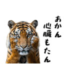 熱狂虎ファン！叫んで野球応援（個別スタンプ：11）