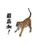 熱狂虎ファン！叫んで野球応援（個別スタンプ：18）