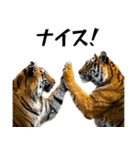 熱狂虎ファン！叫んで野球応援（個別スタンプ：19）