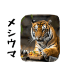 熱狂虎ファン！叫んで野球応援（個別スタンプ：20）