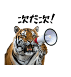 熱狂虎ファン！叫んで野球応援（個別スタンプ：21）