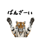 熱狂虎ファン！叫んで野球応援（個別スタンプ：25）