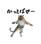 熱狂虎ファン！叫んで野球応援（個別スタンプ：26）