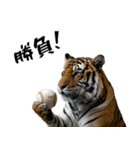 熱狂虎ファン！叫んで野球応援（個別スタンプ：27）
