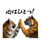 熱狂虎ファン！叫んで野球応援（個別スタンプ：28）