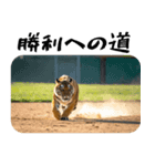 熱狂虎ファン！叫んで野球応援（個別スタンプ：30）