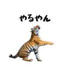 熱狂虎ファン！叫んで野球応援（個別スタンプ：32）