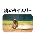 熱狂虎ファン！叫んで野球応援（個別スタンプ：34）