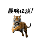 熱狂虎ファン！叫んで野球応援（個別スタンプ：36）