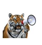 熱狂虎ファン！叫んで野球応援（個別スタンプ：37）