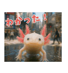 ⭐ウーパールーパー【毎日使える・ペット】（個別スタンプ：1）