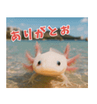 ⭐ウーパールーパー【毎日使える・ペット】（個別スタンプ：3）