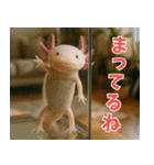 ⭐ウーパールーパー【毎日使える・ペット】（個別スタンプ：5）