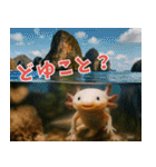 ⭐ウーパールーパー【毎日使える・ペット】（個別スタンプ：13）