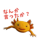 ⭐ウーパールーパー【毎日使える・ペット】（個別スタンプ：14）