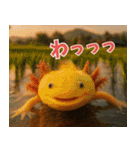 ⭐ウーパールーパー【毎日使える・ペット】（個別スタンプ：35）