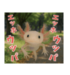 ⭐ウーパールーパー【毎日使える・ペット】（個別スタンプ：39）