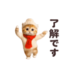 踊る！丁寧なネコちゃん！にゃんだふる～冬（個別スタンプ：11）