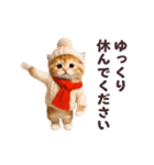 踊る！丁寧なネコちゃん！にゃんだふる～冬（個別スタンプ：14）