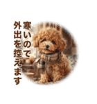 トイプードルの冬のことば（個別スタンプ：23）