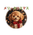 トイプードルの冬のことば（個別スタンプ：26）