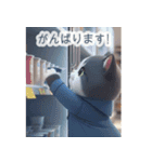 飛び出す♡ねこねこ日記--ハチワレの日常--（個別スタンプ：15）