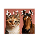 干支は猫年だにゃ♥馬とネコ年賀 改（個別スタンプ：2）