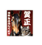 干支は猫年だにゃ♥馬とネコ年賀 改（個別スタンプ：6）