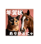 干支は猫年だにゃ♥馬とネコ年賀 改（個別スタンプ：9）