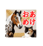干支は猫年だにゃ♥馬とネコ年賀 改（個別スタンプ：14）