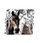 干支は猫年だにゃ♥馬とネコ年賀 改（個別スタンプ：16）