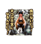 干支は猫年だにゃ♥馬とネコ年賀 改（個別スタンプ：18）